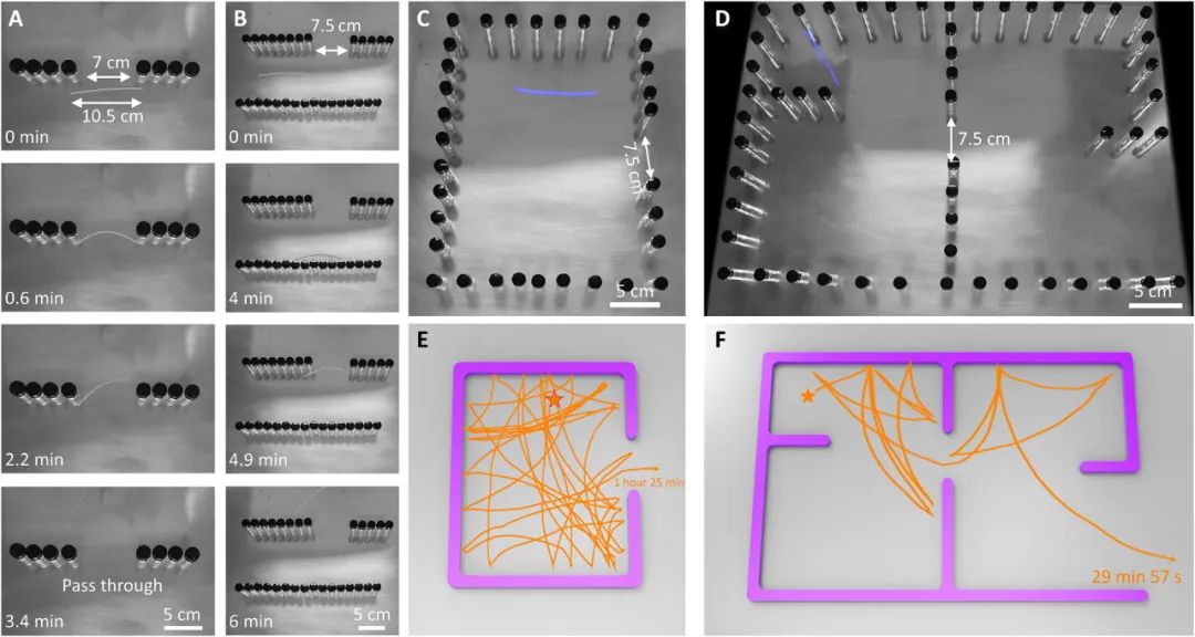 《科学进展》期刊：无脑”机器人穿越迷宫是怎样实现的？(图6)